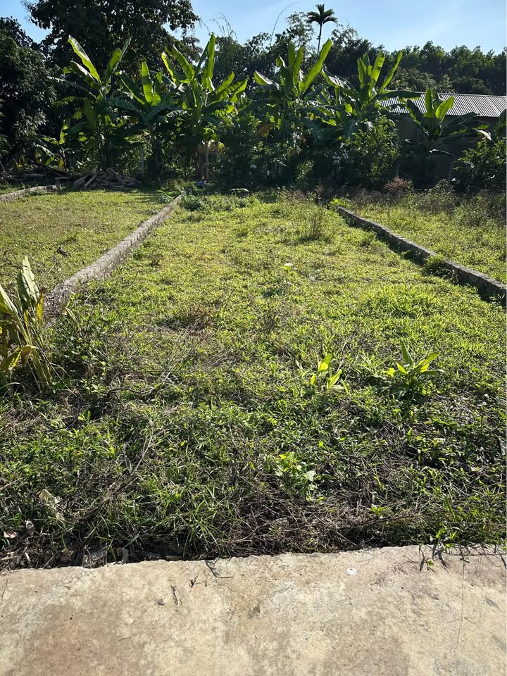 Đất mặt tiền tổ 7 Hưng Thành 280m² giá 3 tỷ - Vị trí đắc địa gần quốc lộ!