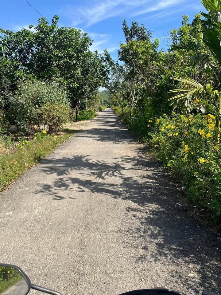 Đất nền Mỹ Đức, Đạ Huoai 525m² giá 5.885 tỷ - Đường nhựa 150m!