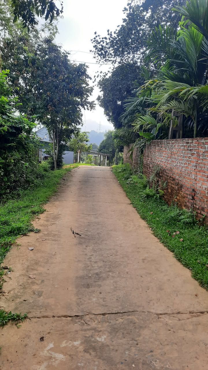 Đất nền Tân Hòa Hòa Bình 1000m² chỉ 1 tỷ - Cơ hội đầu tư hấp dẫn!