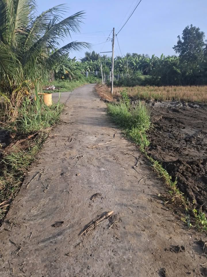 Đất nền Gò Công 1500m² giá 400 triệu - Đầu tư sinh lời vượt trội!