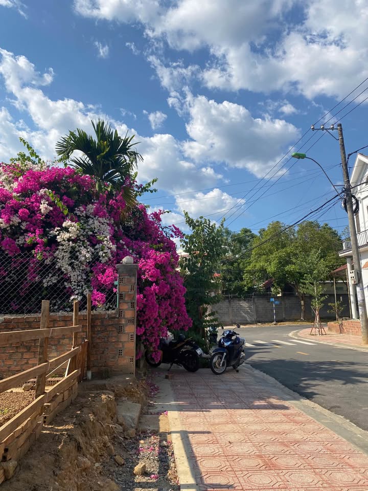 Đất nền đường Trần Cát Chân, Duy Tân, 80m² - Vị trí trung tâm thuận lợi!