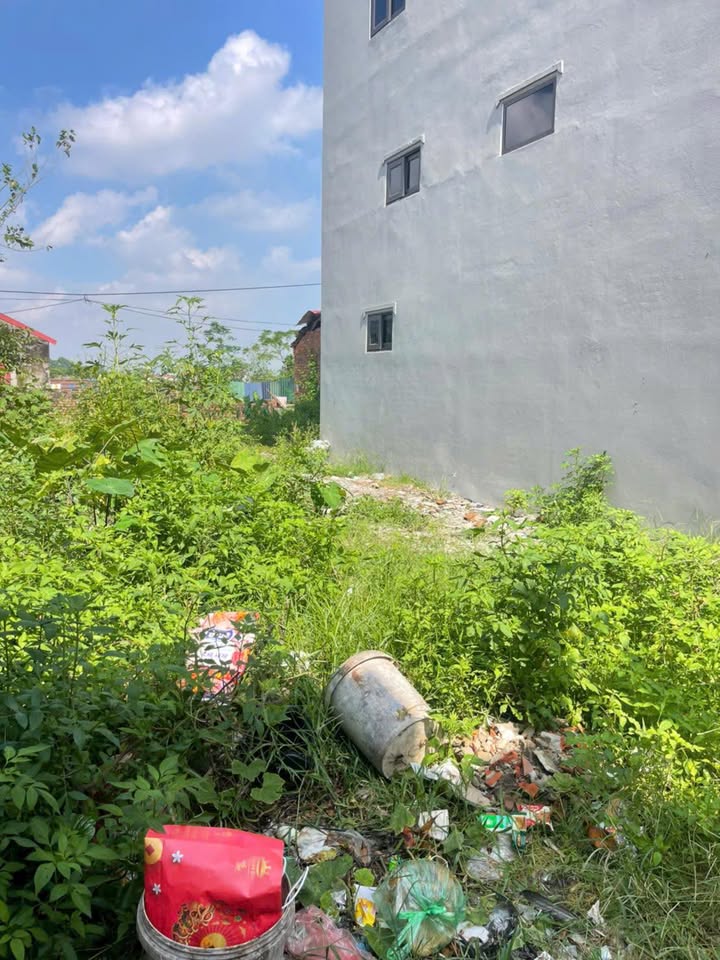 Đất thổ cư 50m² tại khu phố 9, phường Quang Minh, Mê Linh - Giá 2.15 tỷ, ô tô vào tận nơi!