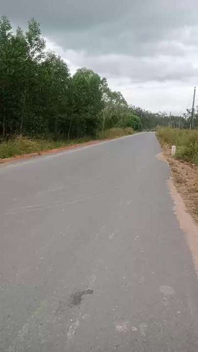 Farm 10ha mặt tiền đường nhựa Suối Kiết Tánh Linh giá chỉ 2 tỷ - Đầu tư sinh lời!