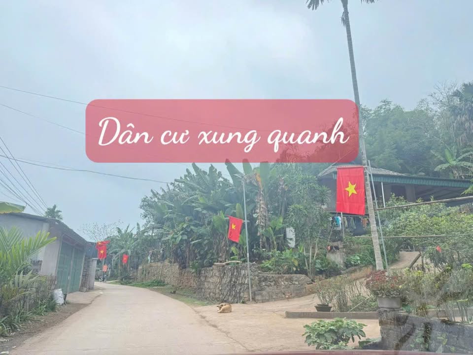 Đất nền 2664m² tại Nhân Mỹ, Tân Lạc, Hòa Bình - Giá chỉ 1 tỷ, sẵn nhà ở ngay!