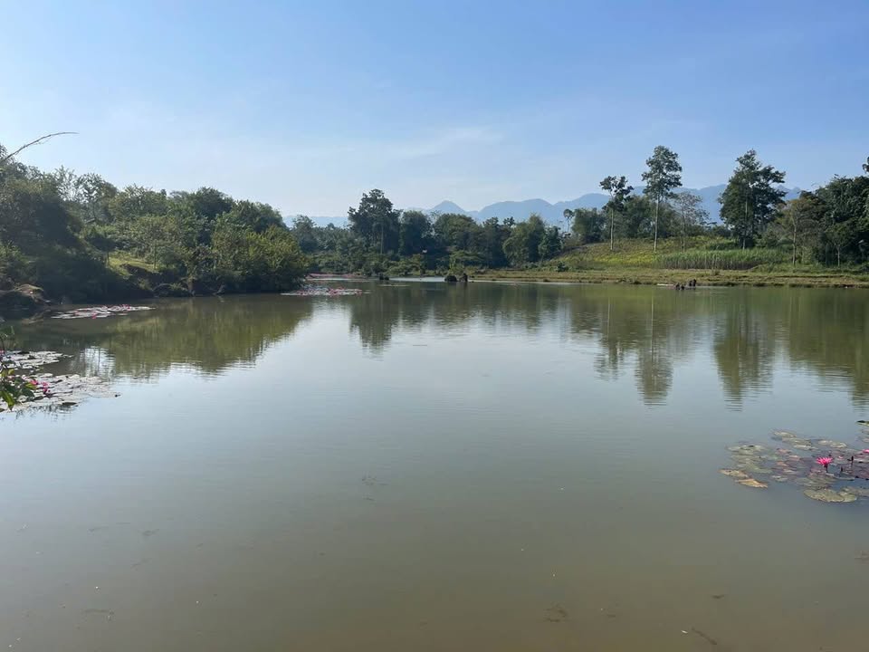 Đất bám hồ Vịnh Ngòi Hoa 1800m² giá 1 tỷ - Cơ hội đầu tư hấp dẫn!