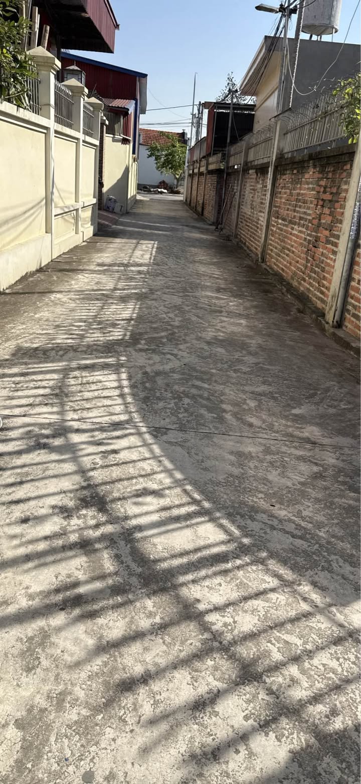 Đất nền Thủy Đường, Hải Phòng 55m² chỉ 1.5 tỷ - Sổ hồng chính chủ!