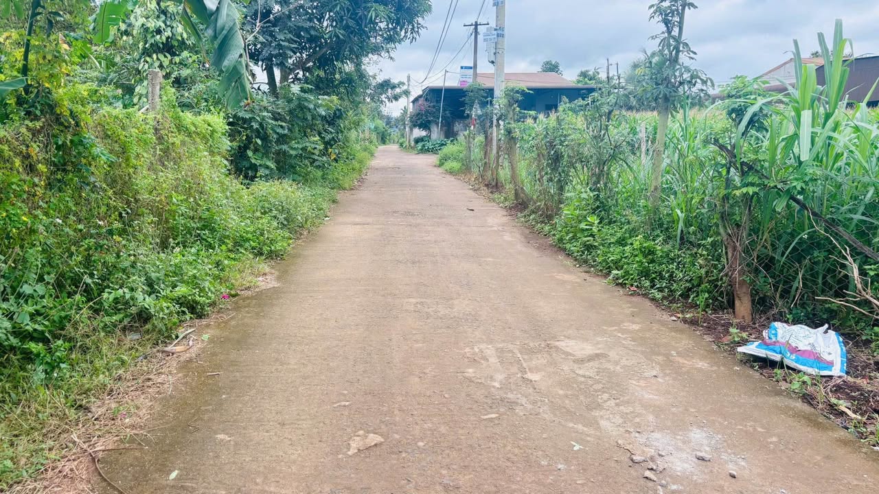 Đất nền đẹp Buôn Bông - Phường Ea Kao 156m² giá 1.09 tỷ - Vị trí thuận lợi, phong thủy tốt!