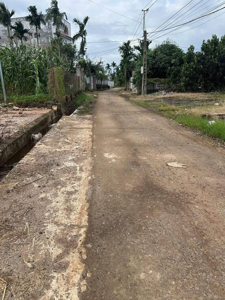 Đất nền Ea Phê 1200m² giá 2.75 tỷ - Đường bê tông, mặt tiền rộng rãi!
