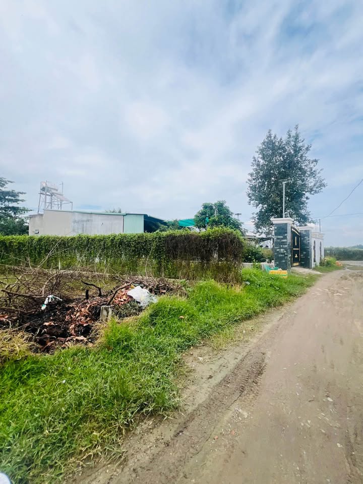 Đất nền Gò Dầu 115m² chỉ 575 triệu - Đầu tư sinh lời ngay!