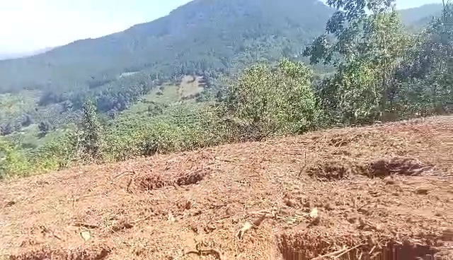 Đất nền 1ha Đạ Tông Đam Rông giá 320 triệu - Đầu tư sinh lời ngay!