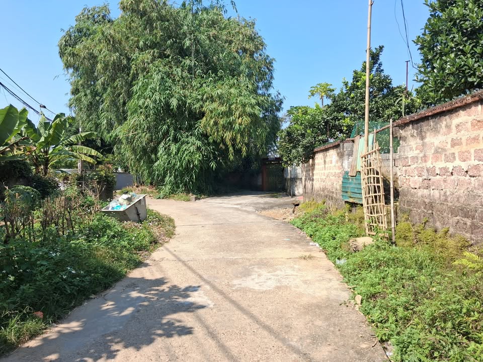 Bán đất Phù Ninh, Phú Thọ 110m² giá 1 tỷ - Đường ô tô vào tận nơi!