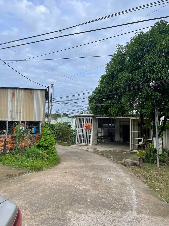 Đất sổ đỏ Phú Ngọc, Định Quán 3600m² giá 850 triệu - Đầu tư sinh lời ngay!