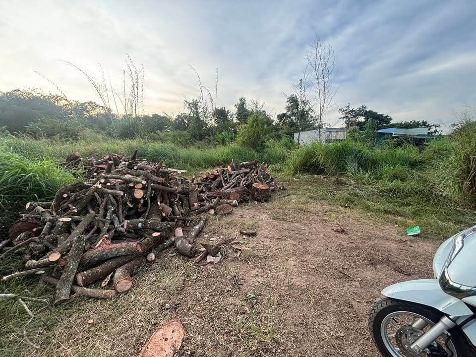 Đất nền mặt tiền đường nhựa Phú Vinh 330m² giá 2 tỷ - Sổ đỏ chính chủ!