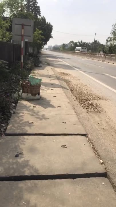 Đất nền Trường Lâm, Nghi Sơn 180m² - Giá thỏa thuận hấp dẫn!