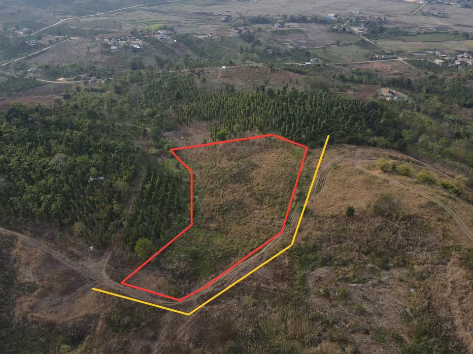 Đất nền 5 sào Long Sơn Đắk Mil giá 470 triệu - Đầu tư sinh lời ngay!