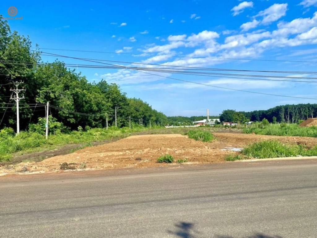 Bán gấp 1141m² đất thổ cư Thị Trấn Lai Uyên giá chỉ 650 triệu - Cơ hội đầu tư lý tưởng!