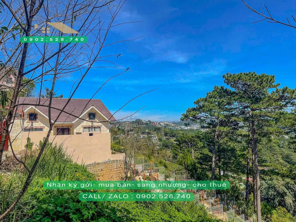 Đất nền 1100m² view đồi thông Phường 3 Đà Lạt - Cơ hội đầu tư tuyệt vời!