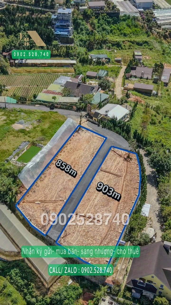 Đất Đống Đa Phường 3 Đà Lạt 903m² giá 28 tỷ - View thành phố đỉnh cao!