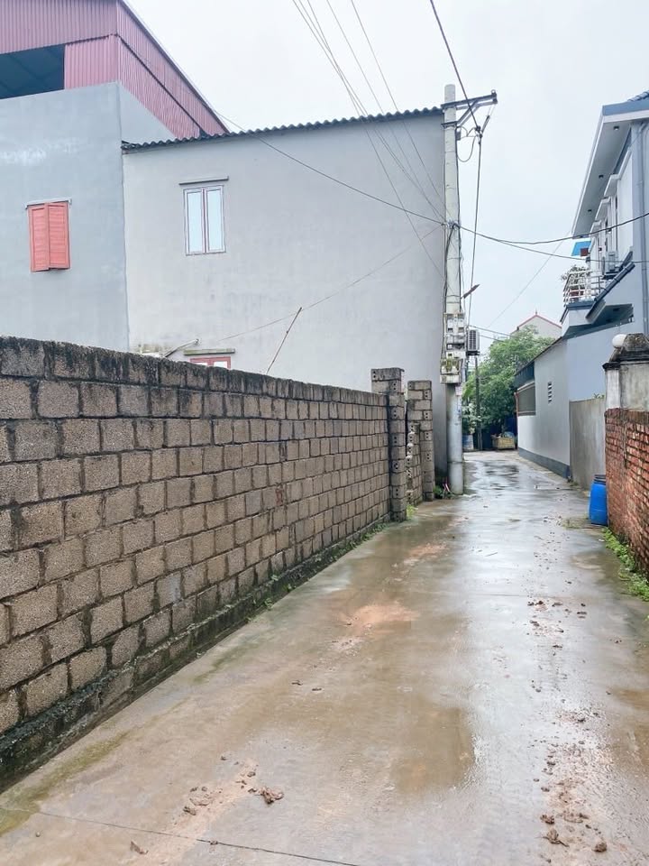 Đất nền thôn Cát Lư, xã Chỉ Đạo, 230m² giá 8.05 tỷ - Pháp lý rõ ràng, ô tô vào tận nơi!