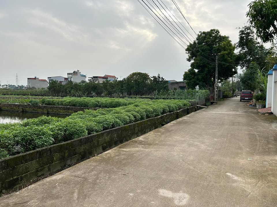 Đất nền Ấp Đa Phúc, Tân Tiến 101m² giá thỏa thuận - Vị trí vàng tiềm năng tăng giá!