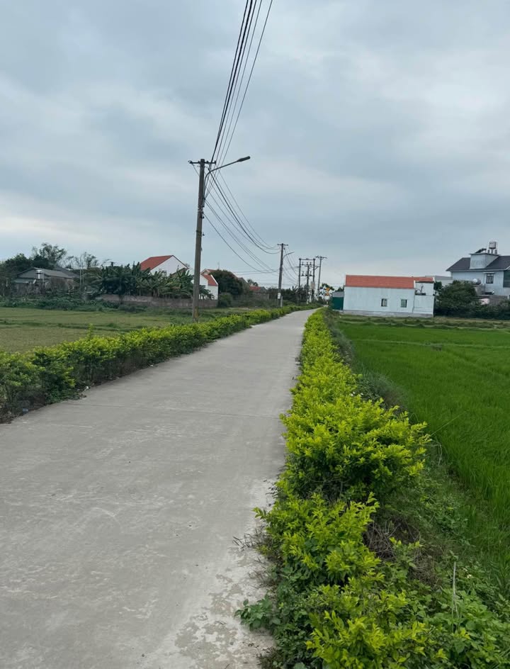 Đất thổ cư tại thôn 4 Hải Xuân 152m² giá 1 tỷ - Cơ hội đầu tư tuyệt vời!