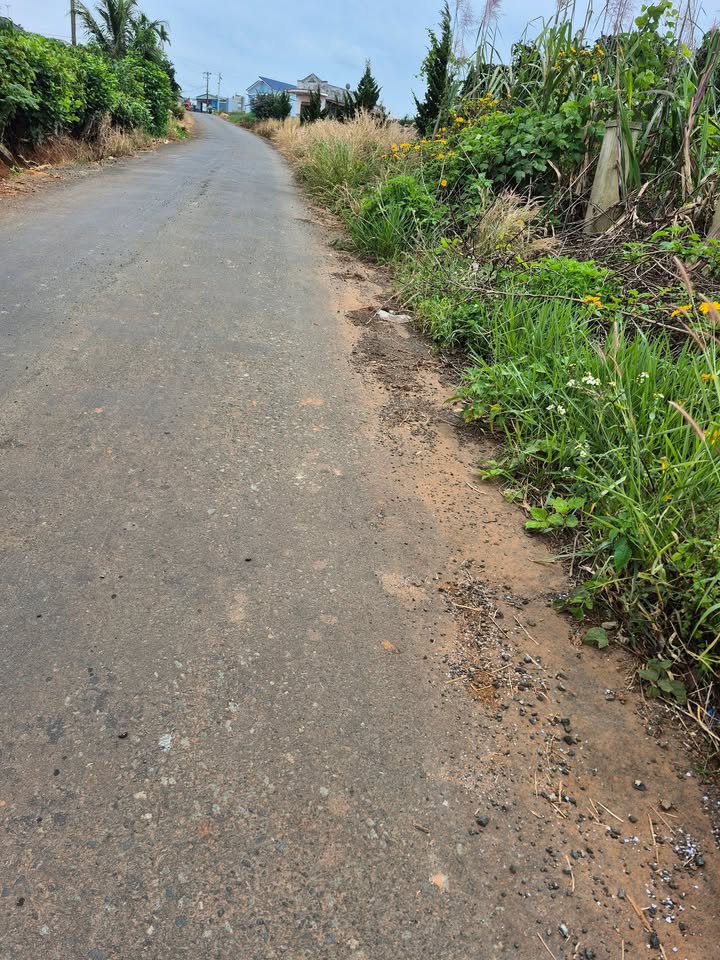 Đất nền Tân Hà Lâm Đồng 600m² giá 1.25 tỷ - Đầu tư sinh lời ngay!