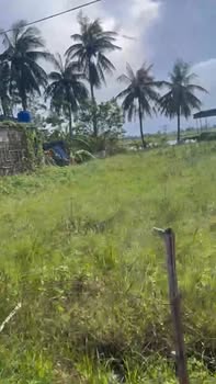 Đất nền Diễn Châu 480m² giá 1 tỷ - Cơ hội đầu tư tuyệt vời!