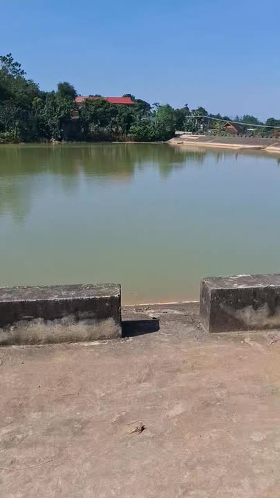 Đất thổ cư Lạc Thịnh, Yên Thủy 431m² giá chỉ 1.207 tỷ - Đầu tư sinh lời ngay!