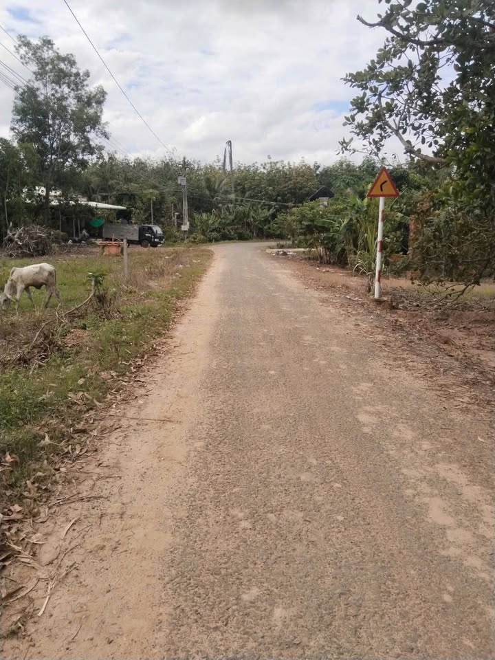 Đất thổ cư 1440m² tại Thạnh An, Tây Ninh - Giá thỏa thuận hấp dẫn!