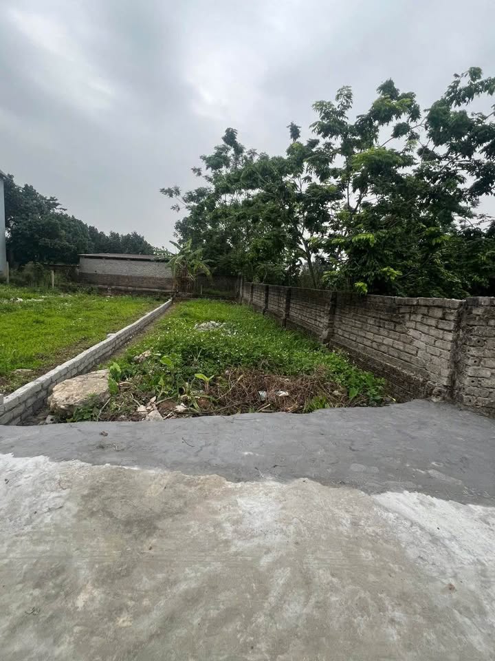 Đất nền Hùng Sơn Hiệp Hòa 105,2m² giá 1,1 tỷ - Cơ hội đầu tư hấp dẫn!