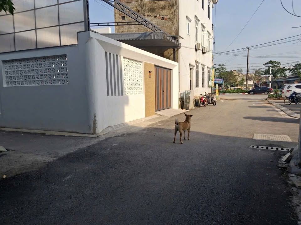 Đất nền phường Nam Hà 164,4m² giá 2 tỷ - Đầu tư sinh lời ngay với dãy phòng trọ hoạt động!