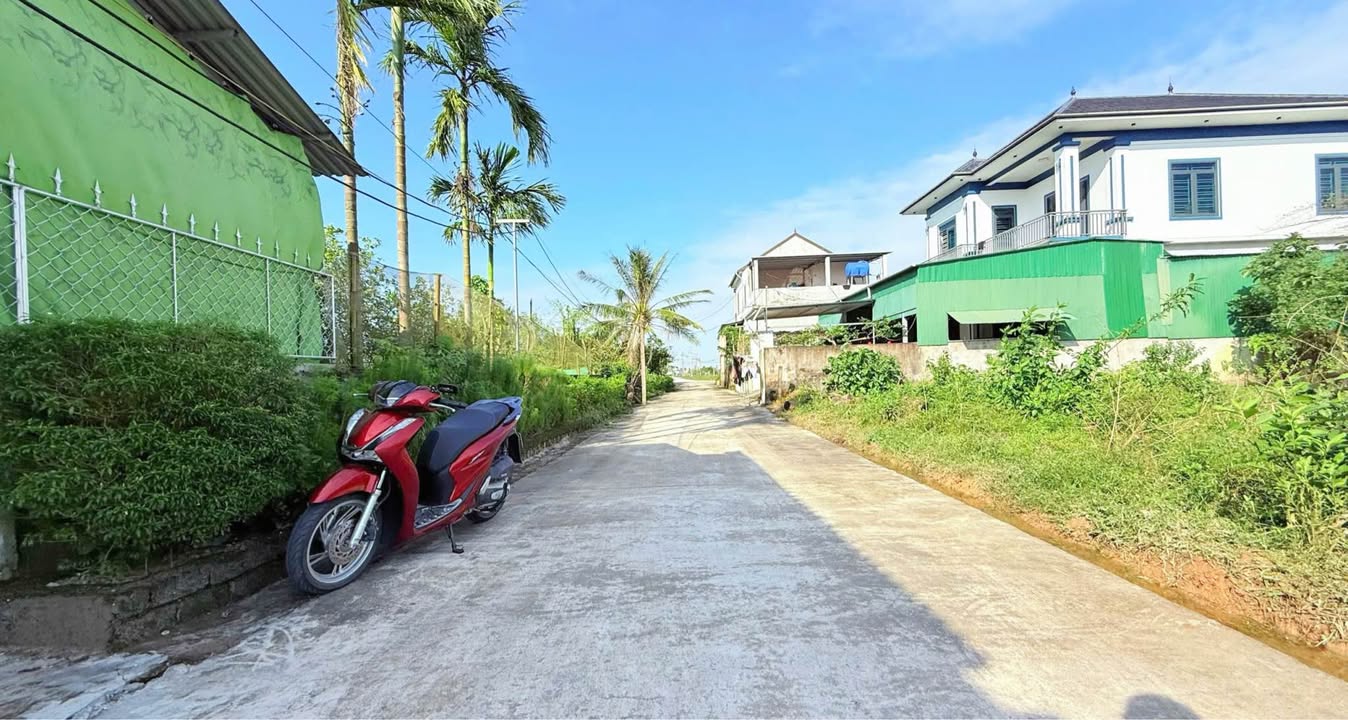 Đất Thổ Cư Thôn Thống Nhất, Thạch Đài 139.7m² giá 1.3 tỷ - Đường rộng, gần trường học!