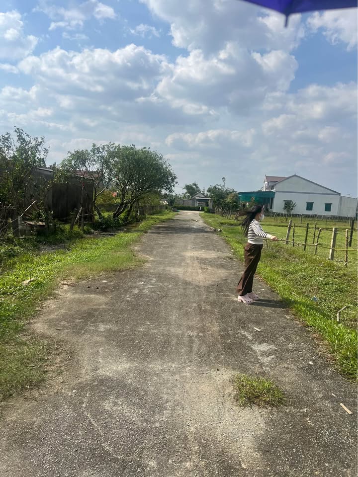 Đất nền thôn Đồng Thuận, Cẩm Thịnh 195m² giá chỉ 500 triệu - Cơ hội đầu tư tuyệt vời!