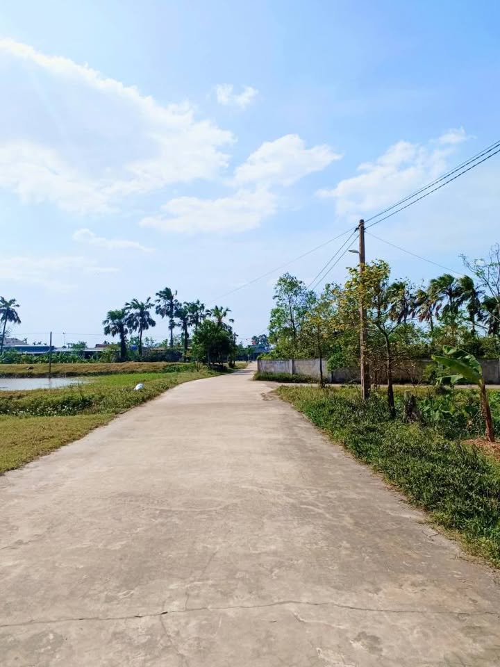 Lô đất Thôn Thanh Quang, Thạch Lạc, 220m² giá 1 tỷ - Cơ hội đầu tư hấp dẫn!