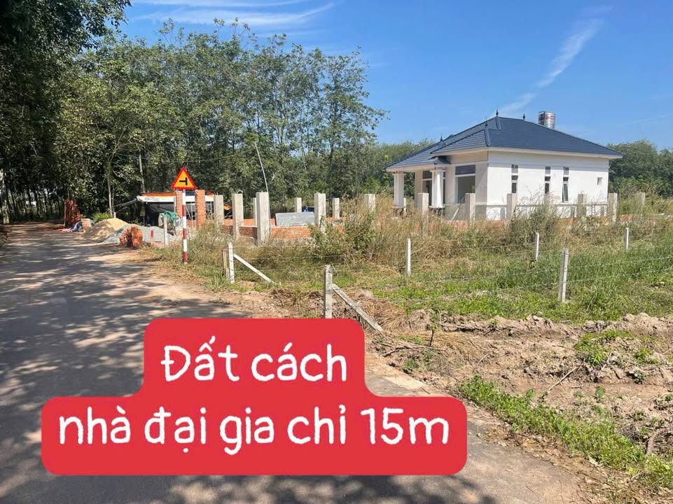 Đất nền Dầu Tiếng - Bình Dương 5000m² giá 550 triệu - Mặt tiền nhựa, cơ hội đầu tư tốt!
