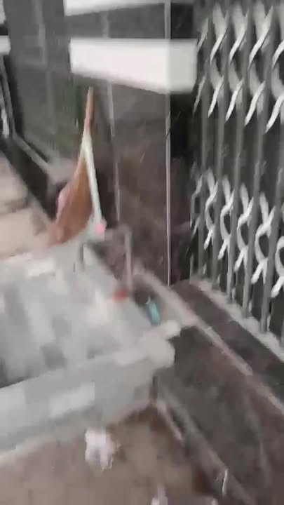 Nhà mặt tiền đường Trần Chiên, Cái Răng 20m² giá 4 triệu - Kinh doanh đắc địa!