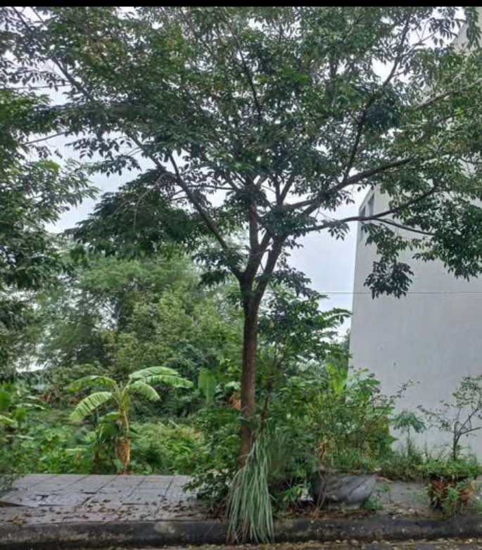 Bán lô đất Thiên Tôn, Hoa Lư, Ninh Bình 85m² - Đầu tư sinh lời tuyệt vời!