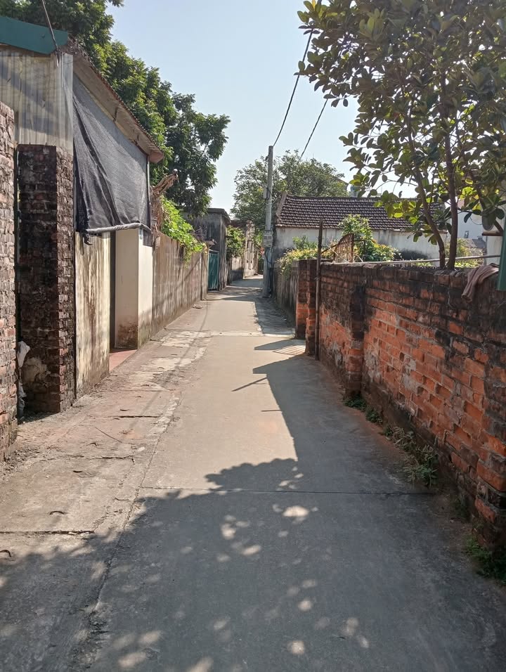 Đất An Lãng - Thường Tín 65.6m² giá 2.6 tỷ - Đường ô tô vào tận nơi!