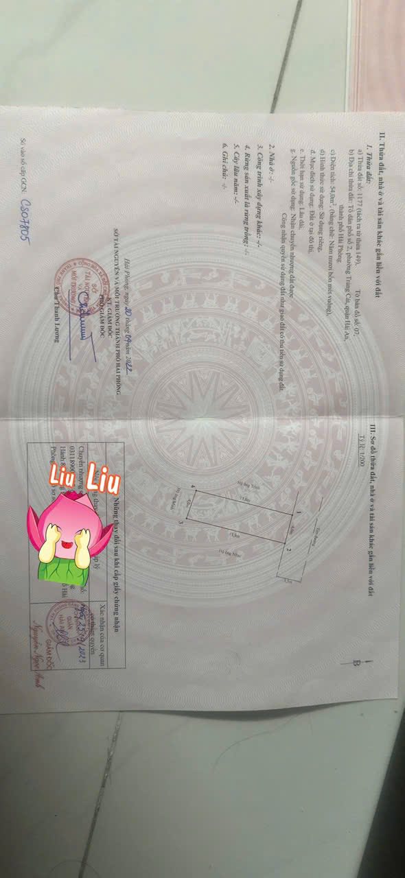 Đất nền mặt đường Tràng Cát 54m² giá chỉ 2,1 tỷ - Đầu tư sinh lời ngay!