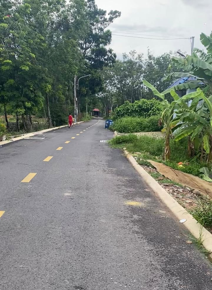 Đất nền Chánh Phú Hòa, Bến Cát, Bình Dương 98m² giá 1.45 tỷ - Sổ hồng chính chủ!