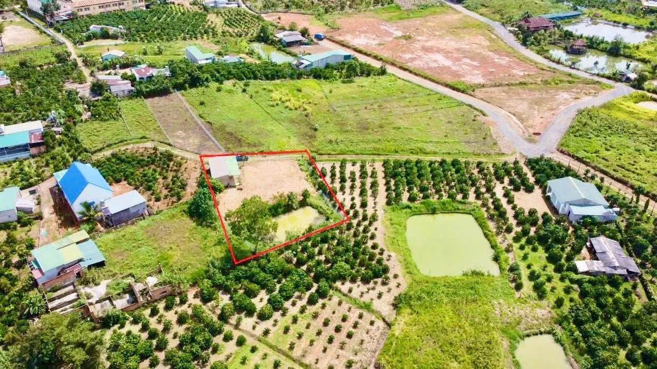 Đất nghỉ dưỡng Đinh Công Tráng Bảo Lộc 904m² giá 2.5 tỷ - Sẵn sàng đầu tư!