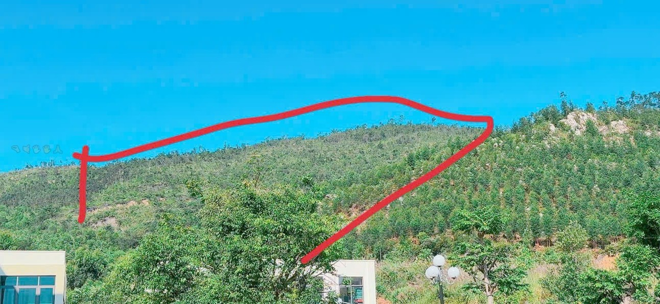 Đất rừng sản xuất Hạ Long 11.000m² giá 990 triệu - Cơ hội đầu tư hấp dẫn!