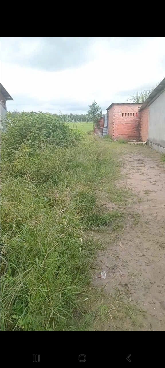 Đất nền xã Phan, Dương Minh Châu 115m² giá 150 triệu - Sổ đỏ chính chủ!