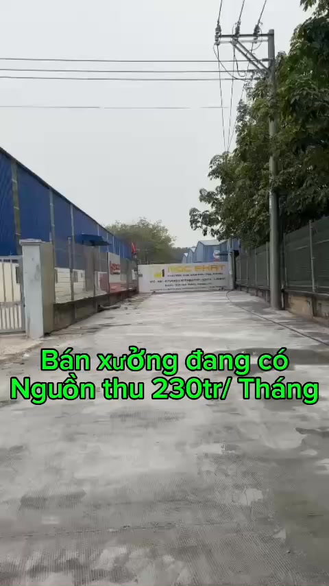 Nhà xưởng cho thuê 6000m² tại Tân Hiệp, giá 40 tỷ - Đầu tư sinh lời ngay!