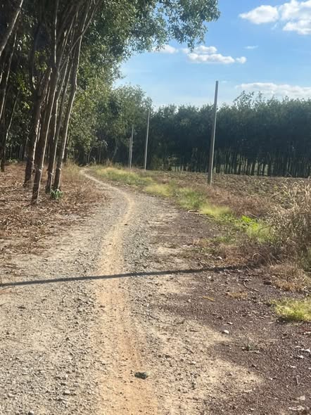 Đất nền 500m² phường Minh Thành, thị xã Chơn Thành chỉ 180 triệu - Cơ hội đầu tư hấp dẫn!