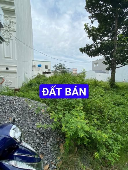 Đất nền KDC 135 Bến Lức 144m² giá 2.95 tỷ - Vị trí đẹp thuận tiện xây nhà!