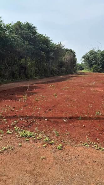 Đất nền lô góc Long Phước 661m² giá 1.8 tỷ - Cơ hội đầu tư không thể bỏ lỡ!