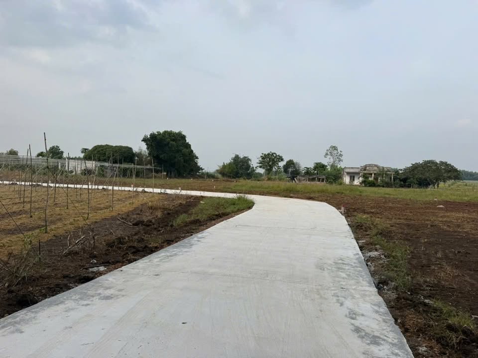 Đất nền Láng Dài Đất Đỏ 3417m² - Giá sỉ hấp dẫn chỉ từ 4xx triệu/lô!