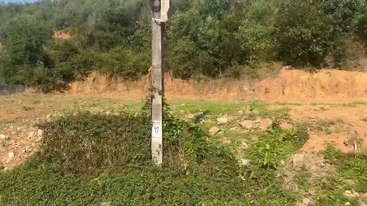 Đất 5000m² tại Văn Đức, Chí Linh giá 1 tỷ - Cơ hội đầu tư tuyệt vời!