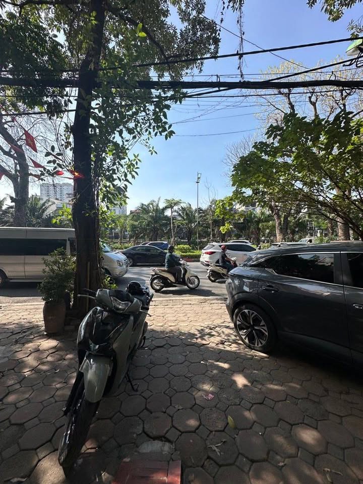 Mặt phố Láng Đống Đa 59m² giá 19 tỷ - Kinh doanh sầm uất, vỉa hè rộng!